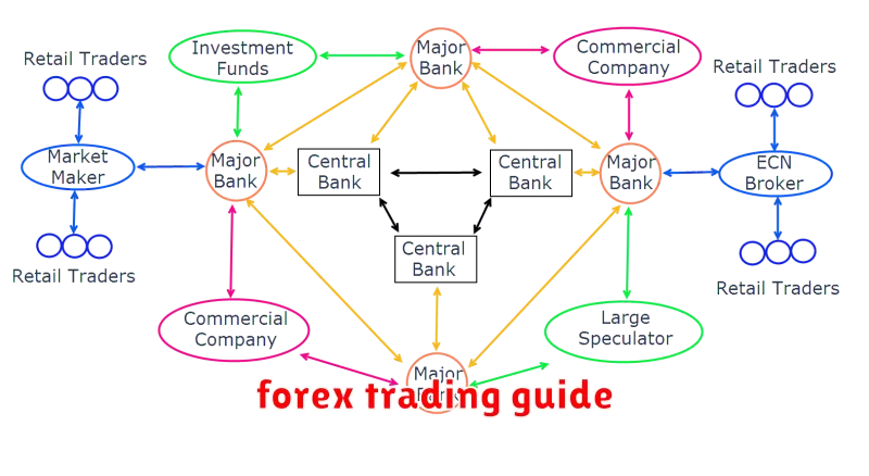 forex trading guide