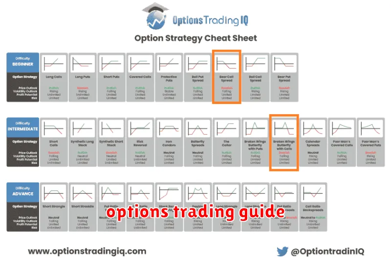 options trading guide