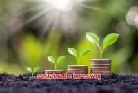 sustainable investing sustainable investing